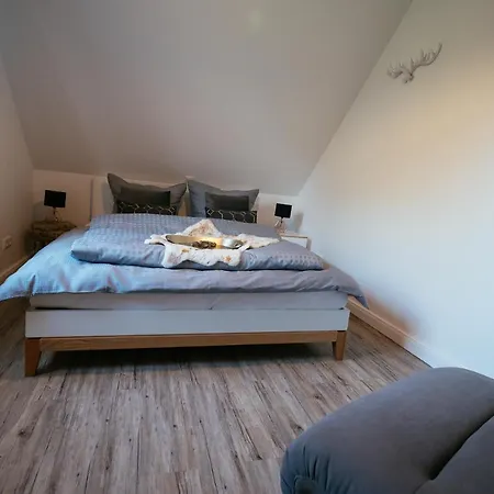 Huenzingen № 2 Prázdninový dům