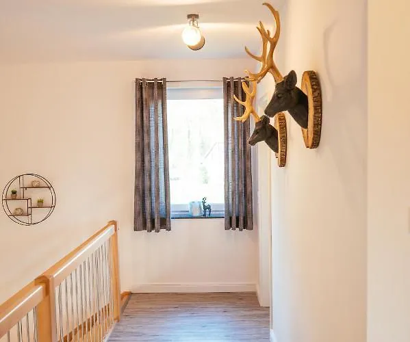 Huenzingen № 2 別荘