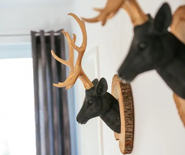 Huenzingen № 2 別荘